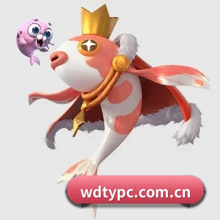 持续创新